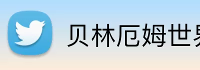 贝林厄姆世界杯数据 logo